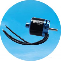 D36L45 three-phase DC brushless motor (motor design: IC sensor, with remote control, no induction, inner rotor, structural design)