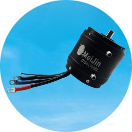 D166L166SL three-phase brushless DC motor (motor design: waterproof, water-cooled, encoder, IC sensor, with remote control, sensorless, inner rotor)